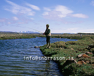 hs001077-01.jpg
Arnarvatnsheiði
