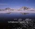 hs004041-01.jpg
Mýrar í Borgarfirði
from Mýrar in Borgarfjördur, west Iceland