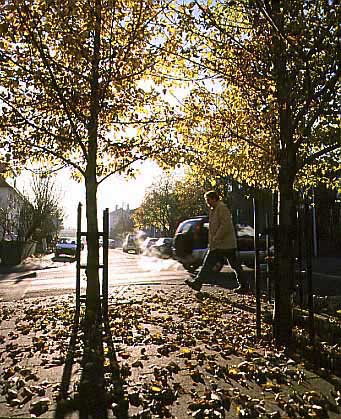 hs011635-01.jpg
miðbærinn, haust í Reykjavík, autumn in Reykjavik