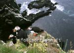 hs002790-01.jpg
Lundar
Puffins in Látrabjarg