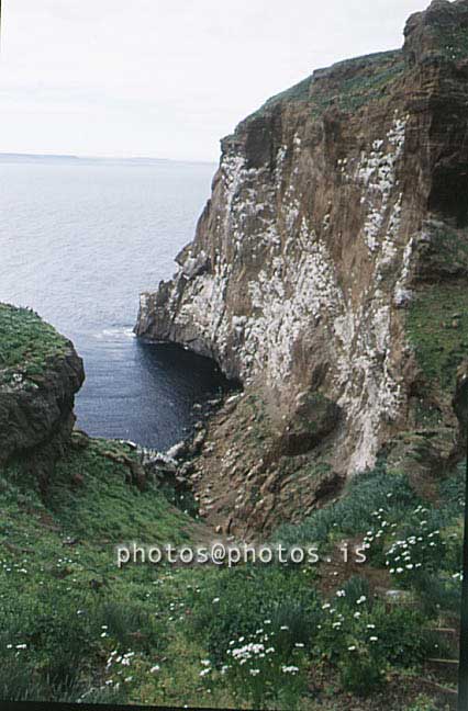 hs016820-01.jpg
Drangey, Skagafjörður, Skagafjordur