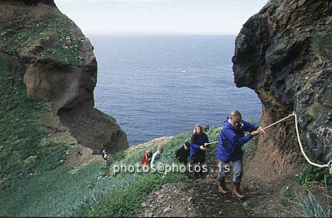 hs016818-01.jpg
Drangey, Skagafjörður, Skagafjordur