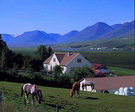 hs014910-01.jpg
Eyjafjörður, Eyjafjordur