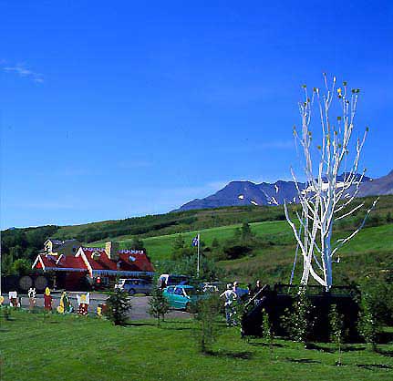 hs014890-01.jpg
Jólamarkaðurinn, Eyjafjörður