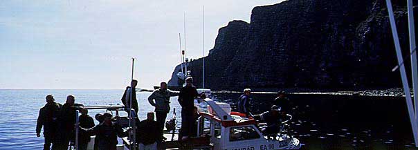 hs012952-01.jpg
Fuglabjörg, Grímsey, Grimsey