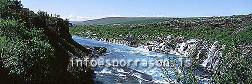 hs004411-01.jpg
from the waterfalls at Hraunfossar in W - Iceland