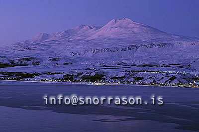 hs012195-01.jpg
Akureyri í vetrarbirtu