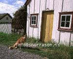 hs010447-01.jpg
Laufás, safn, museum, Eyjafjörður