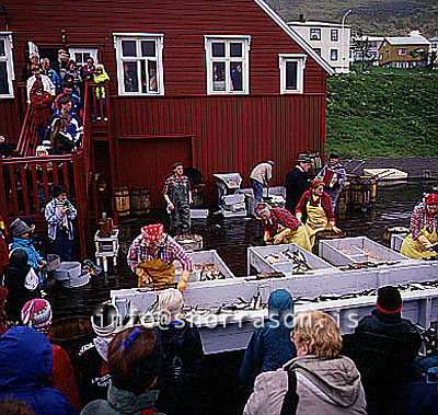 hs009598-01.jpg
Síldarævintýri, Siglufjörður