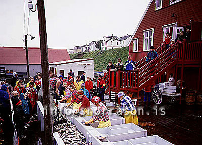 hs009597-01.jpg
síldarævintýri á Siglufirði