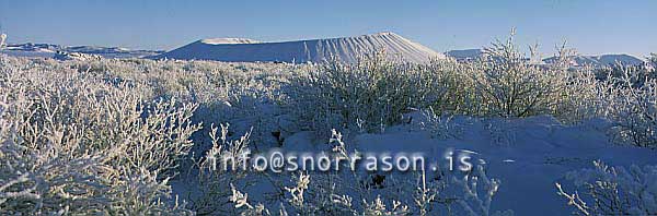 hs012486-01.jpg
vetur við Mývatn, Myvatn
