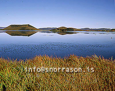 hs011570-01.jpg
Mývatn, Skútustaðir