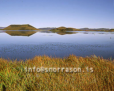 hs011570-01.jpg
Skútustaðir,  Mývatn