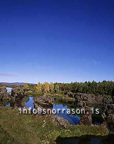 hs011565.jpg
Kálfastrandavogar, Höfði, Mývatn