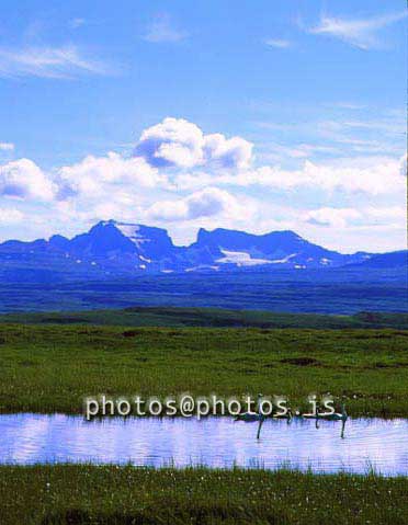 hs014840-01.jpg
Á Héraði, Dyrfjöll