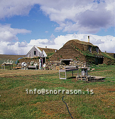 hs007804-01.jpg
Sænautasel