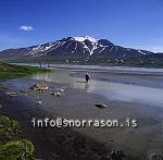 hs005875-01.jpg
Snæfell