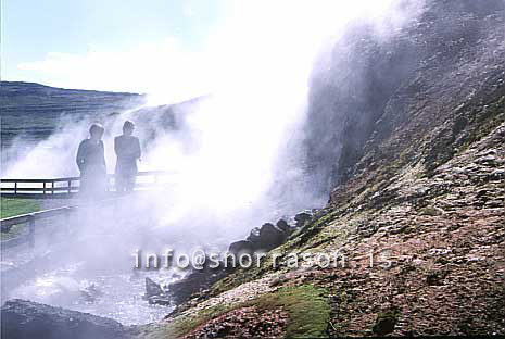 hs010575-01.jpg
Deildartunguhver, Borgarfjörður
the powerful hotspring, Deildartunguhver,  in Borgarfjordur, west Iceland.