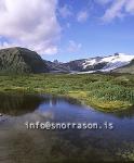 hs008602-01.jpg
glacier and water in Svinafell