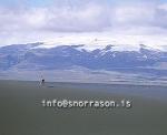 hs008575-01.jpg
Ingólfshöfði, Ingolfshofdi