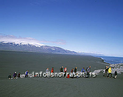 hs008565-01.jpg
Ingólfshöfði, Ingolfshofdi