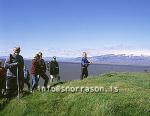 hs008535-01.jpg
Ingólfshöfði, Ingolfshofdi