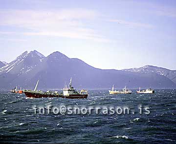 hs001986-01.jpg
Loðnuveiðar