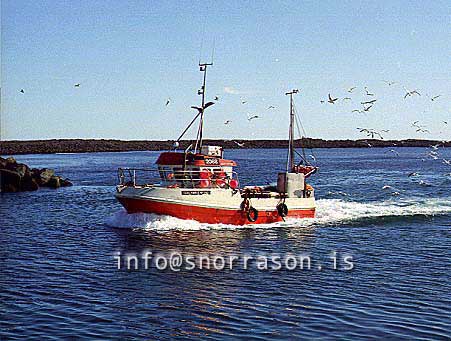 ss00539-01.jpg
Gullfari II HF 290, skipanúmer 2068