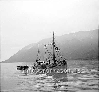 ss01865-01.jpg
Gulltoppur VE 177, skipanúmer 494