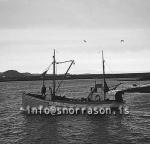 ss01956-01.jpg
Gullþór GK 285