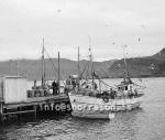 ss02507-01.jpg
Bryggjumynd frá Neskaupstað 1959