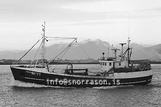 ss03447-01.jpg
Þórir SF 77,  skipanúmer 1236
