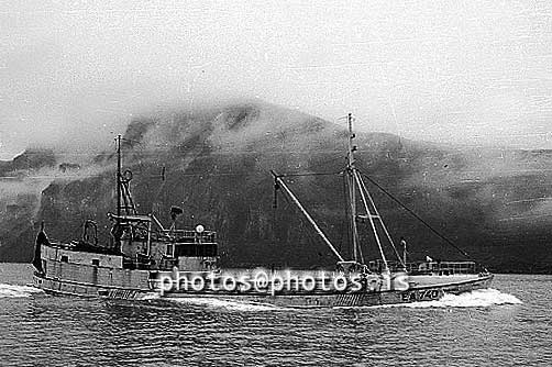 ss03641-01.jpg
Snæfell EA 740, skipanúmer 195