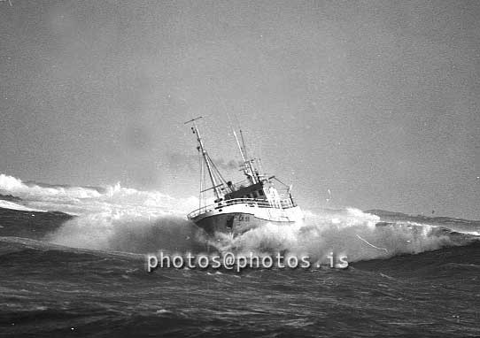 ss03714-01.jpg
Geirfugl, GK 66, Skipaskrárnúmer 88, 
Brim við Grindavík 1987