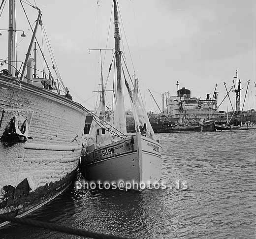 ss03775-01.jpg
Ingjaldur SU 80 í Reykjavíkurhjöfn 1956, skipanúmer 599