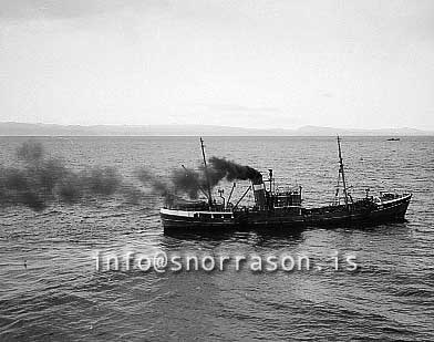 ss01618-01.jpg
Lord Tay H 286,  Breskur togari, British trawler