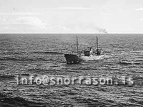 ss01632-01.jpg
Norwich City GY 503,  Breskur togari, British trawler