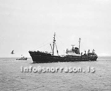 ss01638-01.jpg
Peter Scott H 103,  Breskur togari, British trawler