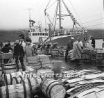 ss01825-01.jpg
Siglufjörður, síld 1960-1961