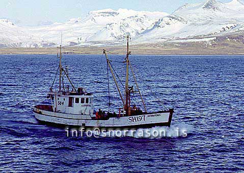 ss01016-01.jpg
Auðbjörg SH 197