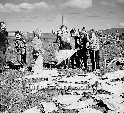 ss01921-01.jpg
Saltfiskur við Hafnarfjörð 1959