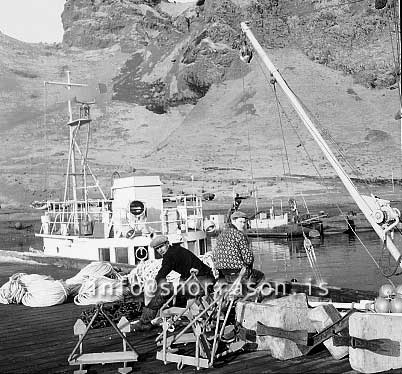 ss02094-01.jpg
Fiskilöndun í Reykjavíik 1960