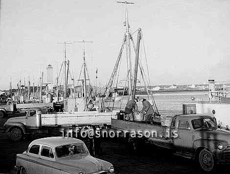 ss02615-01.jpg
Bryggjumynd frá Sandgerði 1961