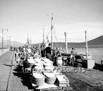 ss01842-01.jpg
Dalvík, síld 1959