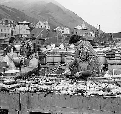 ss01835-01.jpg
Siglufjörður, síld 1960