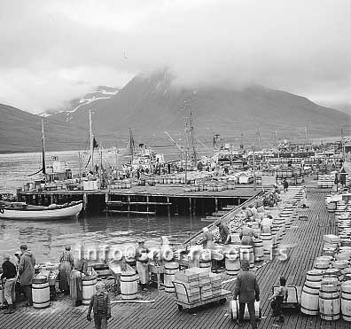 ss01827-01.jpg
Siglufjörður, síld 1960-1961