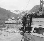 ss01824-01.jpg
Siglufjörður, síld 1960-1961