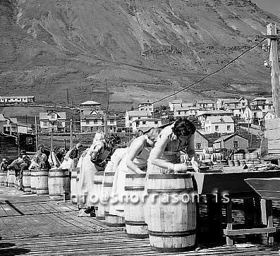 ss01815-01.jpg
Siglufjörður, síld 1960