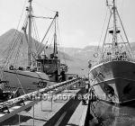 ss01806-01.jpg
Siglufjörður, síld 1959-1960