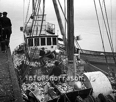 ss01764-01.jpg
Siglufjörður, síld 1959